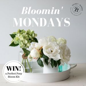 Bloomin Mondays Visual