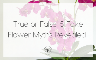 True or False: 5 Fake Flower Myths Revealed