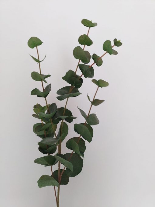 Secret Blooms Matilda Artificial Eucalyptus