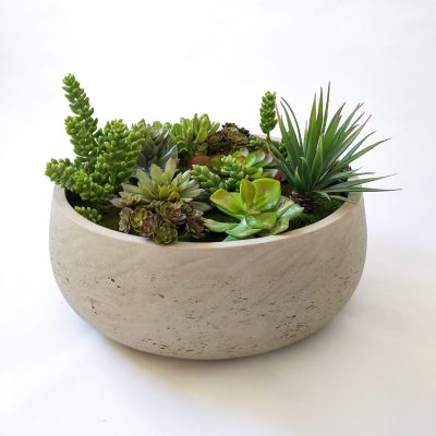 Large-succulent-table-arrangement