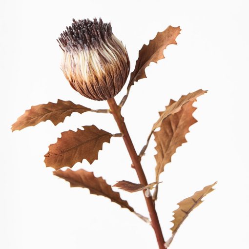 artificial-dried-look-protea-bud-stem