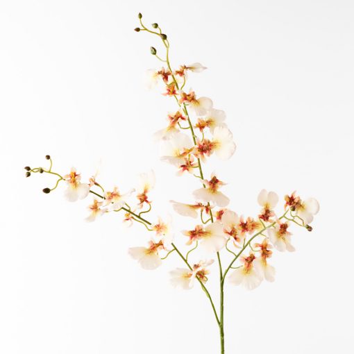 Real-touch-dancing-orchid-stem