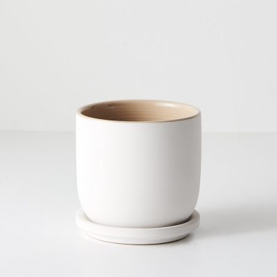small-ceramic-white-plant-pot-saucer
