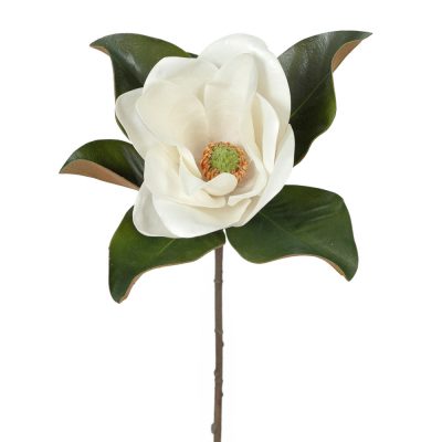 Realistic-Magnolia-Flower