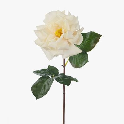 Real-touch-ivory-rose