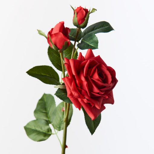 luxury-red-rose-stem