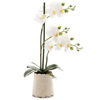 real-touch-classic-orchid