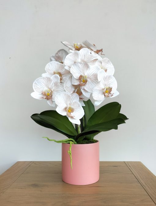 artificial-phalaenopsis-orchid-design