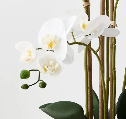 real-touch-artificial-phalaenopsis