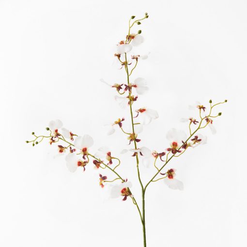 real-touch-white-dancing-orchid-stem
