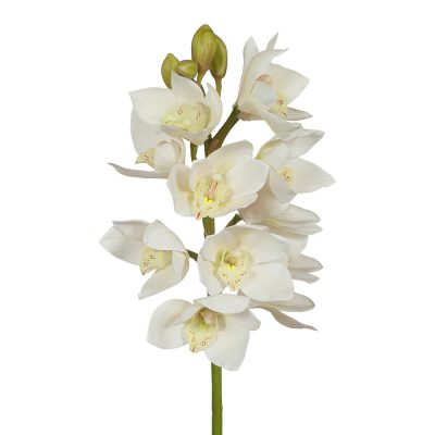 artificial-white-oncidium-orchid