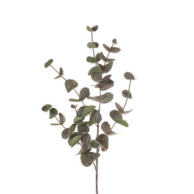 real-touch-eucalyptus-leaf