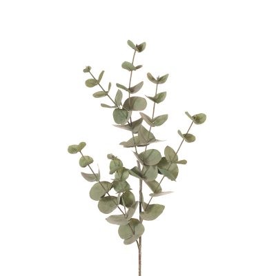 artificial-eucalyptus-stem