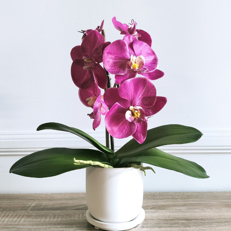 real-touch-bright-pink-fuschia-orchid