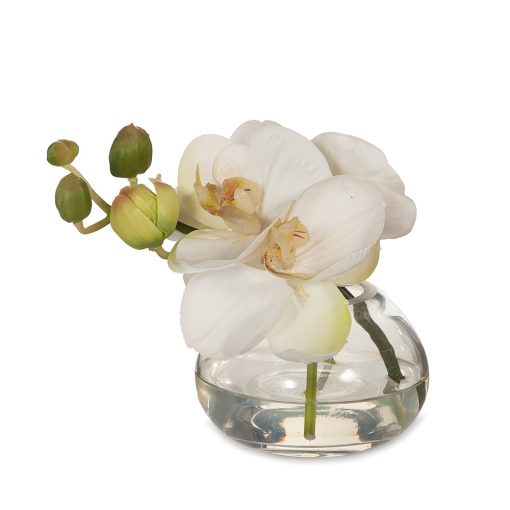 white-orchid-glass-vase