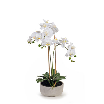 real-touch-orchids-bowl-arrangement