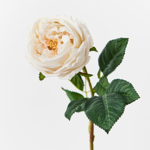 real-touch-garden-rose-cream