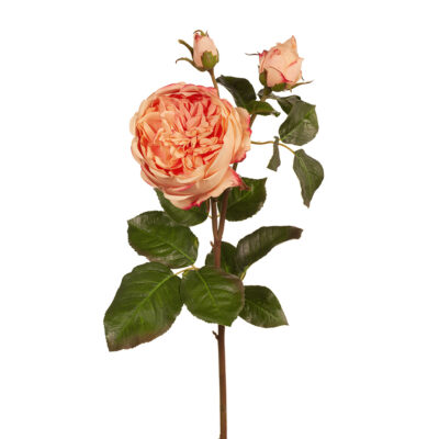 real-touch-rose-peach-stem