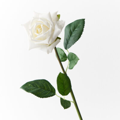 real-touch-white-rose