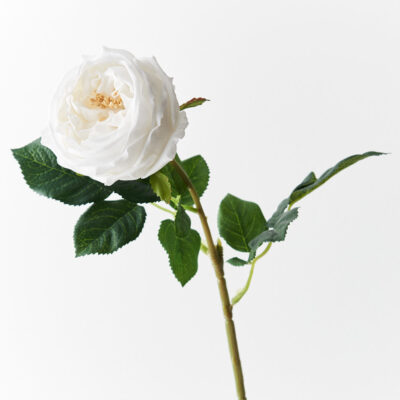 real-touch-white-rose-stem