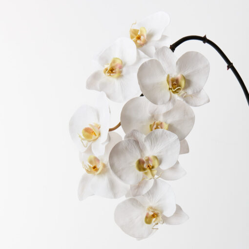 real-touch-white-orchid-stem