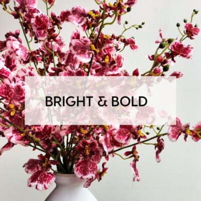 Bold & Bright