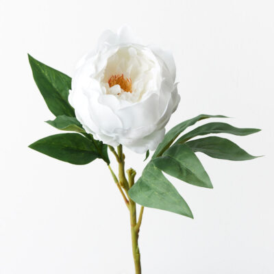 real-touch-white-peony