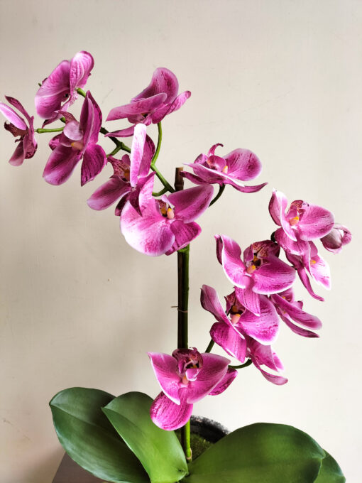 artificial-hot-pink-orchids