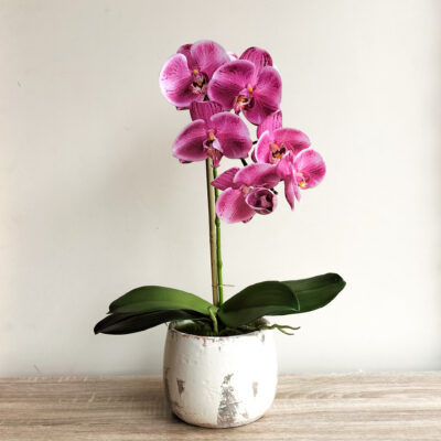 artificial-hot-pink-orchid-arrangement