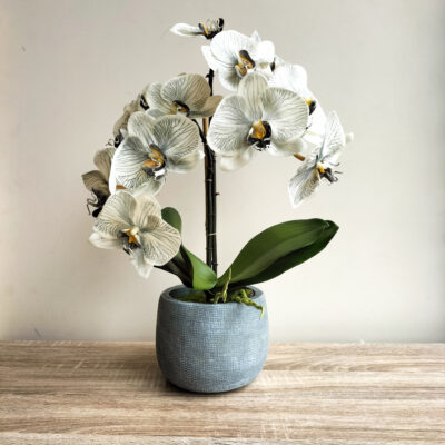 artificial-grey-orchid-arrangement