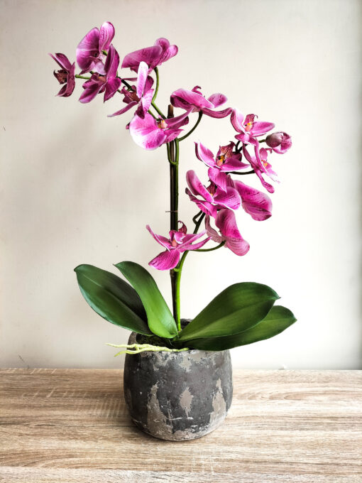 pink-orchid-arrangement
