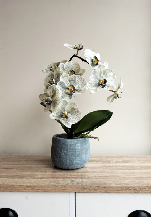 white-grey-orchid-arrangement