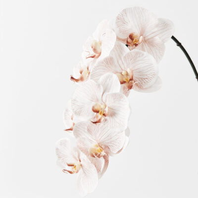 realistic-artificial-phalaenopsis-orchid