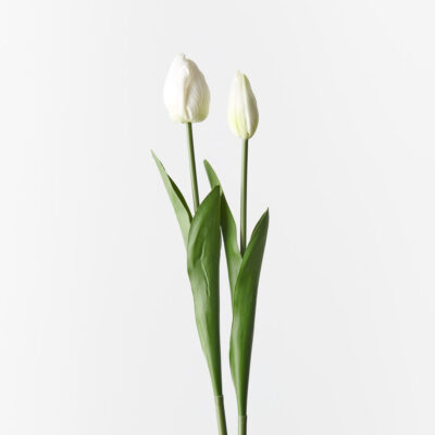 artificial-white-tulip-stem