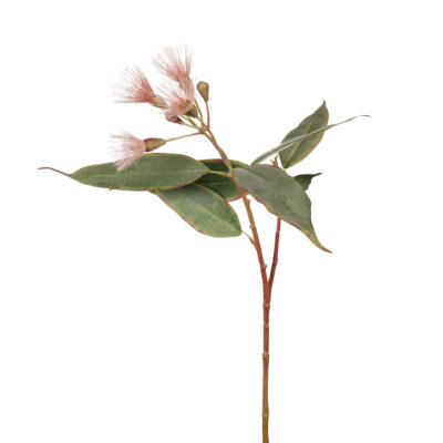 artificial-pink-flowering-eucalyptus-stem