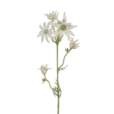 faux-flannel-flower-stem