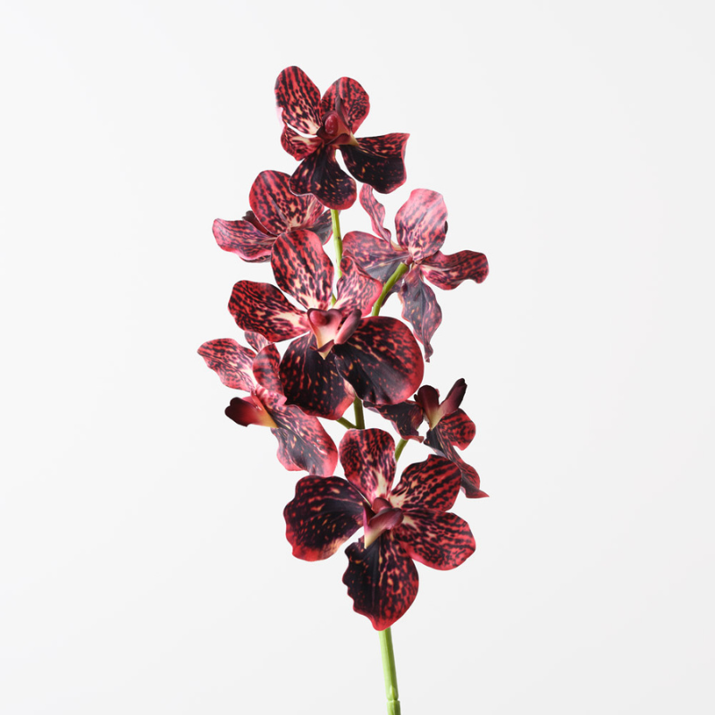 Orchid Vanda Burgundy Stem artificial-real-touch-orchid-vanda